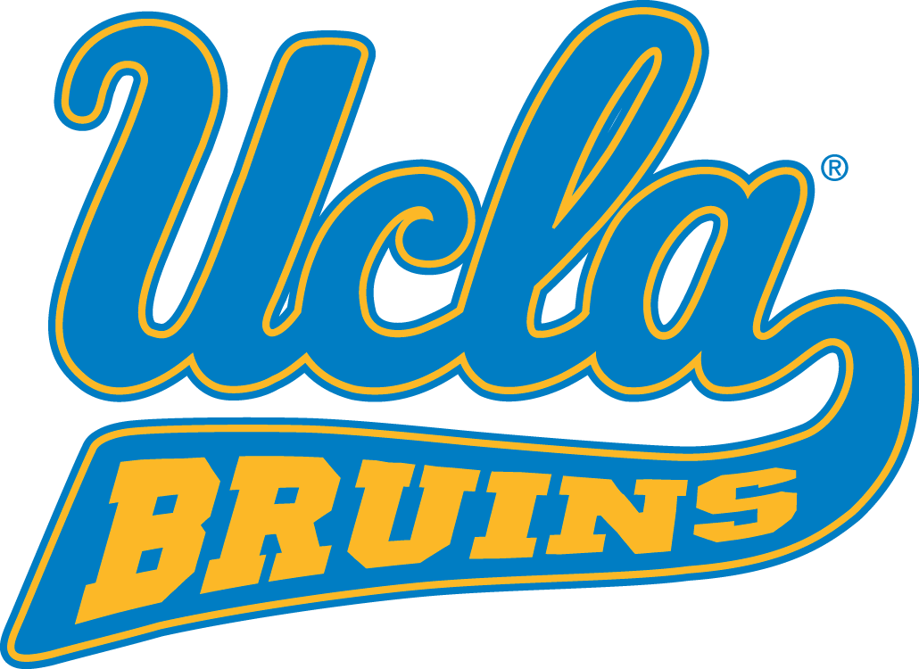 UCLA Bruins 1996-2017 Alternate Logo v9 DIY iron on transfer (heat transfer)